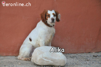ALIKA