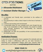 Allrounder/Multitalent (m/w/d)