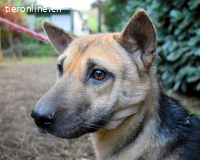 Alvida - warum tun sie das?