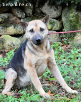 Alvida - warum tun sie das?