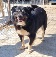 Andie nicht perfekt aber Charakter und ein großes Herz