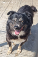 Andie nicht perfekt aber Charakter und ein großes Herz