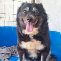 Andie nicht perfekt aber Charakter und ein großes Herz