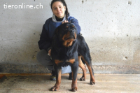 Anoop - Nichts, absolut nichts...