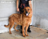 Antwin - irgendwo ist alles schön!