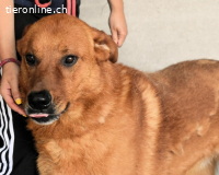 Antwin - irgendwo ist alles schön!