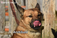 ARCHIBALD
