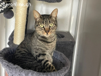 Ariel verteilt Kuschelattacken