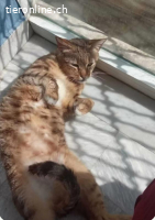 Arnie besitzt ein wundervollen sanften Charakter