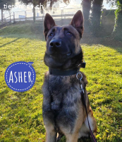 Asher ein bildhübscher Bub