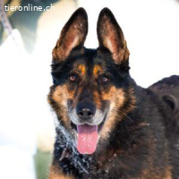 Assunta - wunderbare Seele wartet auf dich