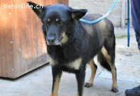 Athena - bittet um eine Chance