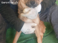 Athena -kleine Kämpferin mit einem großen Herzen