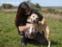 Bachi, ein Freund fürs Leben