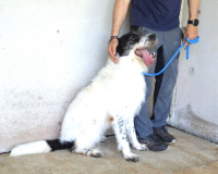 Bahul - Leider, leider, leider....