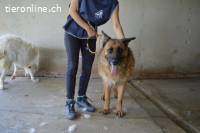 Baley - Groß, größer, Baley