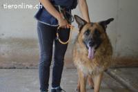 Baley - Groß, größer, Baley