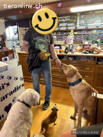 Bali der sanfte Riese sucht ein zuhause