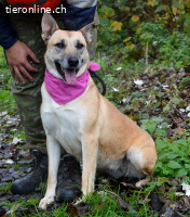 BALIANA - LIEBEVOLL + MENSCHENBEZOGEN sucht ihr Zuhause