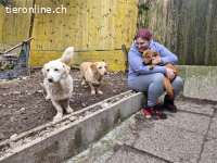 Bambo sucht ein liebevolles Zuhause