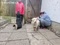 Bambo sucht ein liebevolles Zuhause