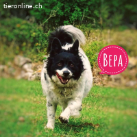 Bepa eine Knutschkugel