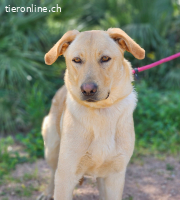 Bewegungsfreudige Winni