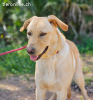 Bewegungsfreudige Winni