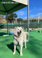 Bianca, die Schüchterne sucht ein ruhiges Zuhause