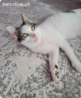 Bianca möchte in Sicherheit sein.