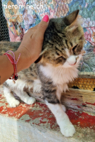 BIBI & JOHNNY - WARTEN SEHNSUECHTIG AUF EIN NEUES ZU HAUSE