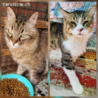 BIBI & JOHNNY - WARTEN SEHNSUECHTIG AUF EIN NEUES ZU HAUSE