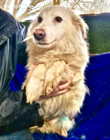 Bildhübsche , schüchterne Malin