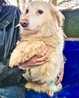 Bildhübsche , schüchterne Malin