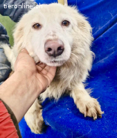 Bildhübsche , schüchterne Malin