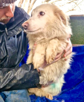 Bildhübsche , schüchterne Malin