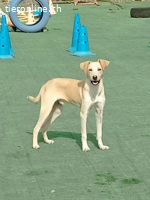 Billy sucht nach Liebe