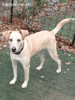 Billy sucht nach Liebe