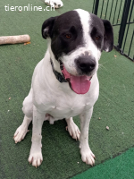 Bingo, ein Herz, dass gebrochen wurde