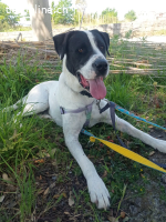 Bingo, ein Herz, dass gebrochen wurde