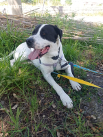 Bingo, ein Herz, dass gebrochen wurde