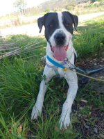 Bingo, ein Herz, dass gebrochen wurde