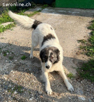 Bruma - 3 Jahre nur Leid