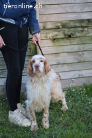 Buck - Ein neues Jahr, eine neue Hoffnung?