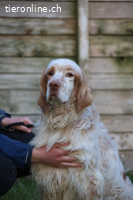 Buck - Ein neues Jahr, eine neue Hoffnung?