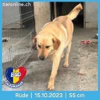 Bud möchte ankommen und das Leben spüren