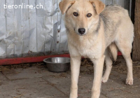Cambera sucht empathische Menschen