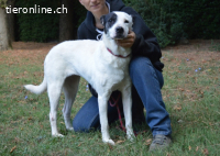 Camellia - sucht ihr Zuhause