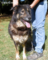Carolita - und du - ein Dreamteam