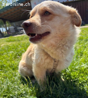 Casper ein sanfter Engel